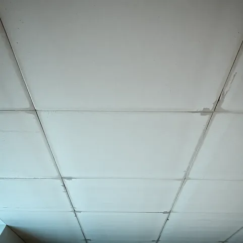 Strop panelowy cena