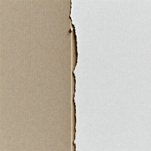 Czyszczenie elewacji płyn