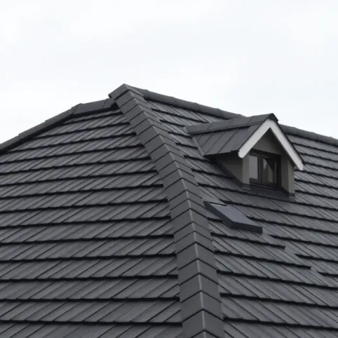 Dach stromy definicja