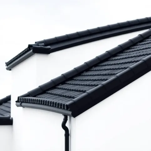 Elewacja biała z czarnym