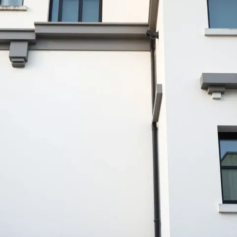 Elewacja biała z szarym