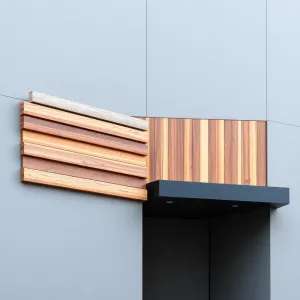 Elewacja szara z drewnem