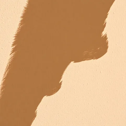 Ile schnie grunt na elewacji