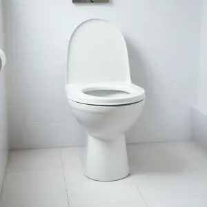 Jaka wysokość miski WC od podłogi dla niepełnosprawnych