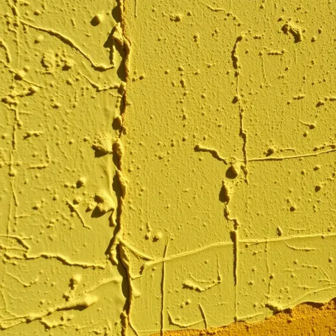 Malowanie elewacji zamiast tynku