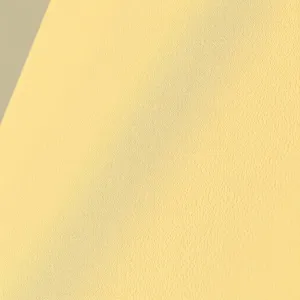 Najlepszy środek do mycia elewacji