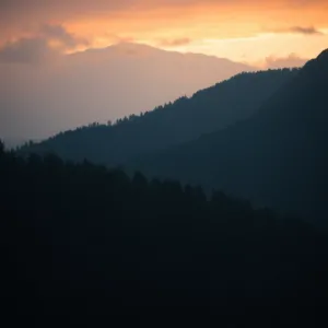 Skuwanie płytek podłogowych cena