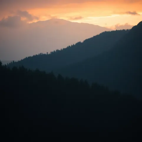 Skuwanie płytek podłogowych cena