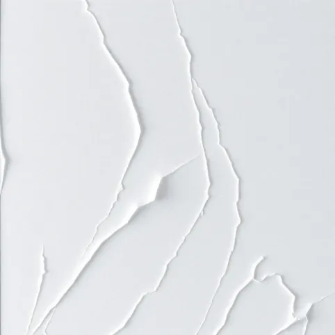 Środek do czyszczenia elewacji z glonów