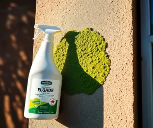 Środek do usuwania zielonego nalotu z elewacji